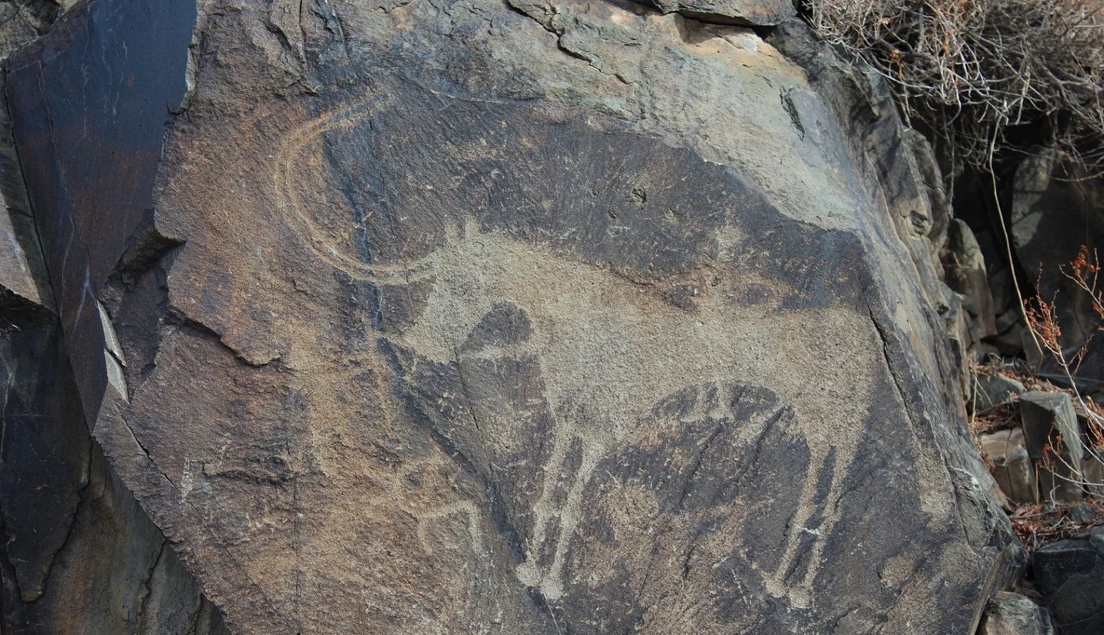 Ancient rock carvings on dark stone at Tanbaly
